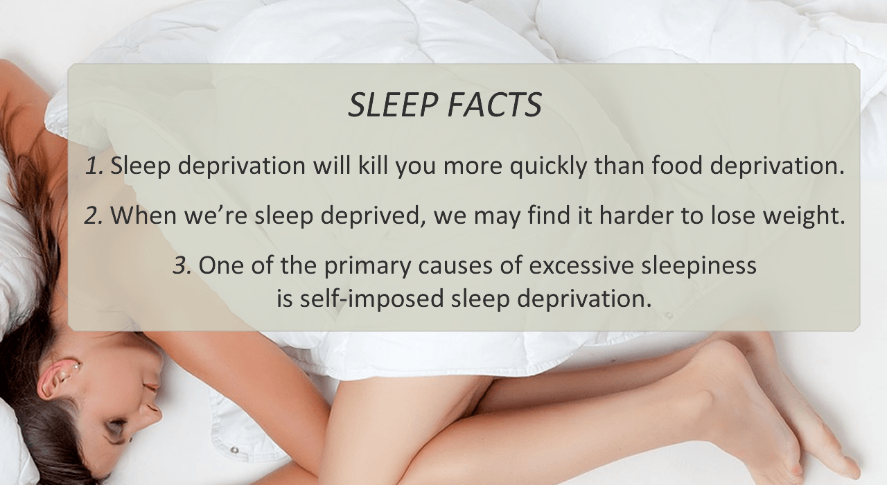 Sleep Facts Sleep Facts