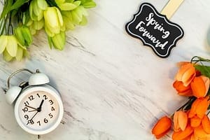 Daylight Savings - Springing Forward